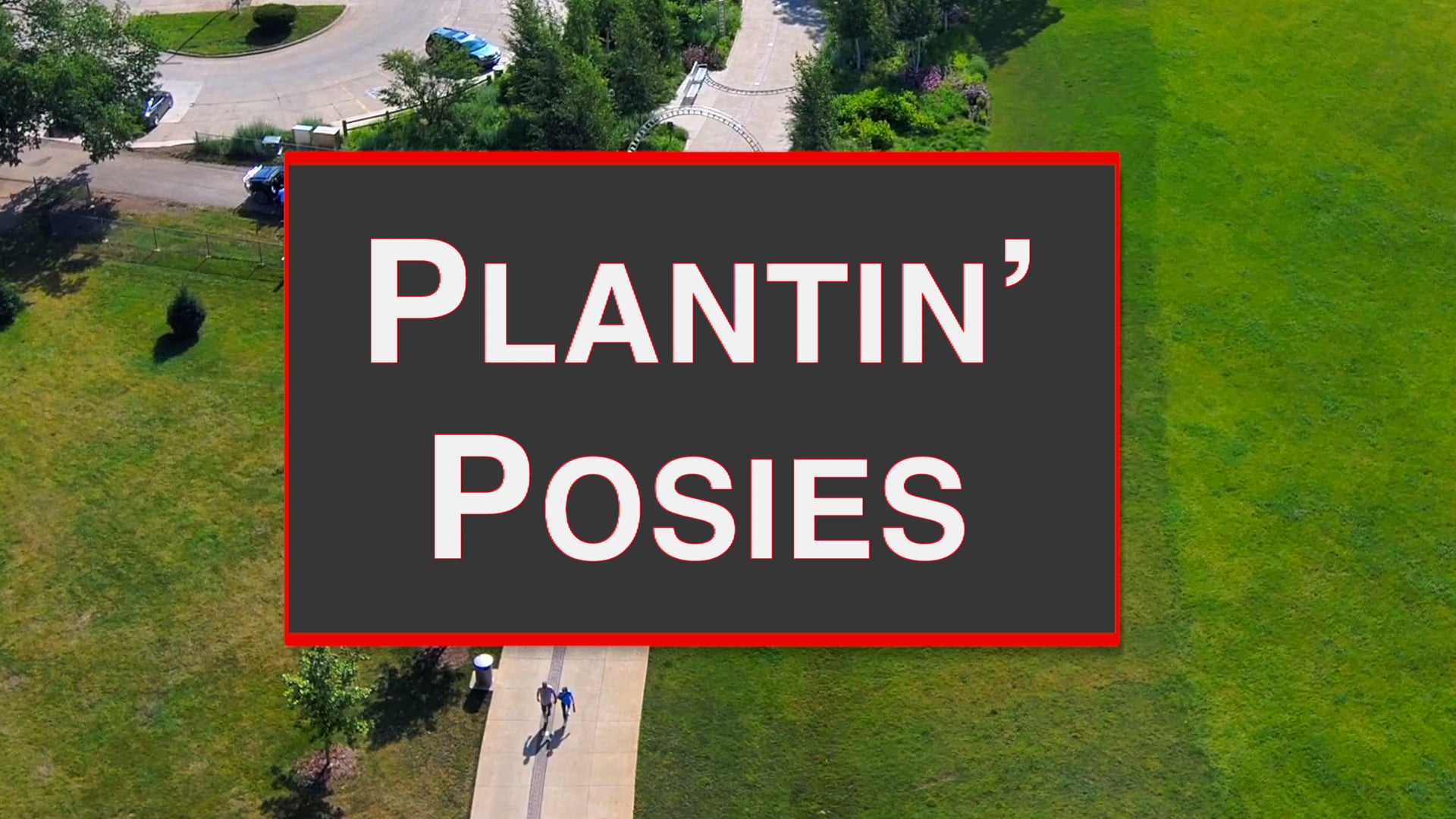 Plantin’ Posies