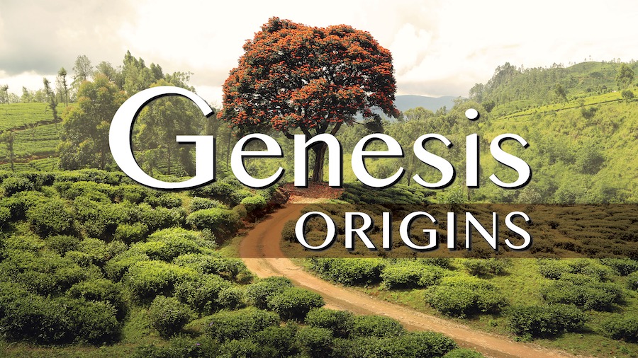 genesis graphic